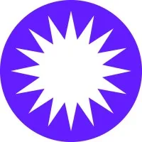 Observation Group Inc. (OBSV Group)