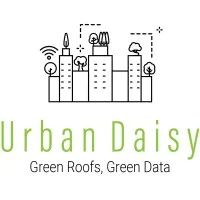 Urban Daisy