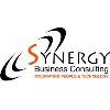 Synergy Business Consulting, Inc. Synergy Business Consulting, Inc.