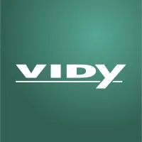 Grupo Vidy