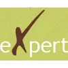 Expert Professionals Expert Professionals