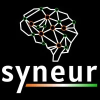 Syneur Technologies Pvt. Ltd.