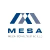 Mesa Minerals Partners IV, LLC Mesa Minerals Partners IV, LLC
