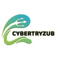 Cybertryzub InfoSec Private Limited