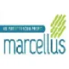 Marcellus infotech Pvt Ltd Marcellus infotech Pvt Ltd
