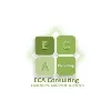 ECA Consulting ECA Consulting