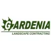 Gardenia Gardenia