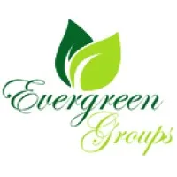 Evergreen Groups