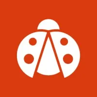 Ladybugz Interactive Agency, Boston MA