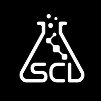 Silver Creek Insights