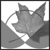 Canadian Centre for Policy Alternatives