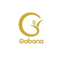 Ethiogabana Ethiogabana email format