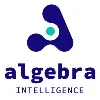 Algebra Intelligence Algebra Intelligence