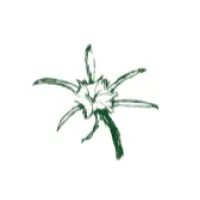 Cahaba Transportation Cahaba Transportation