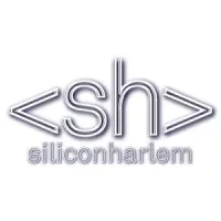 Silicon Harlem