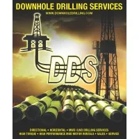 Downhole Drilling Services, LLC