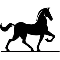 Bizos Cavallo Enterprises LLC
