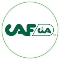 Caf Cia email format