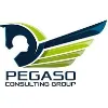 Pegaso Consulting Group