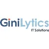 GiniLytics IT Solutions GiniLytics IT Solutions