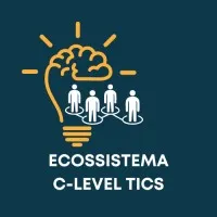 C-LEVEL TICS BRASIL