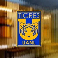 Club Tigres email format