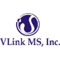 vLink MS Inc.