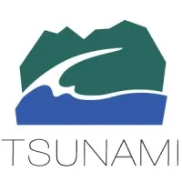 Tsunami Solutions Ltd