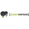 Celedon Partners (Now Ardalyst) Celedon Partners (Now Ardalyst)