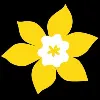 Canadian Cancer Society Canadian Cancer Society