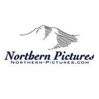 Northern Pictures