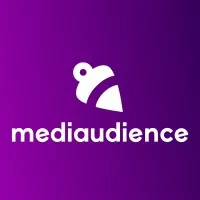 Media Audience