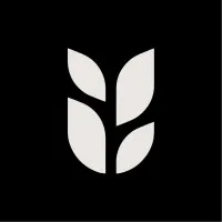 Grain