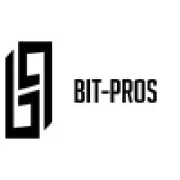 Business Information Technology Professionals Business Information Technology Professionals