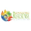Realsense Consulting Realsense Consulting