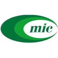 MinskInterCaps