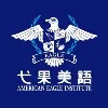 American Eagle Institute - China American Eagle Institute - China