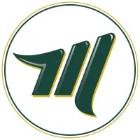 Mattson Financial Services, LLC Mattson Financial Services, LLC