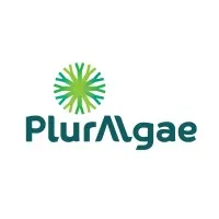 Pluralgae
