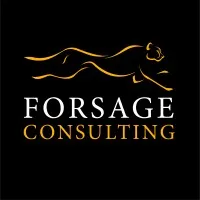 Forsage Consulting