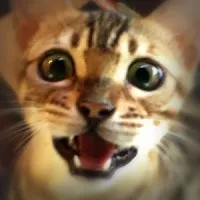 EasyTiger