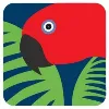 Rainforest Rescue Rainforest Rescue