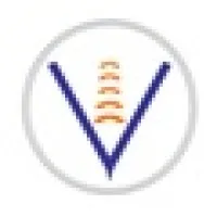 Vital Solutions International