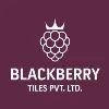 Blackberry Tiles Pvt. Ltd. Blackberry Tiles Pvt. Ltd.