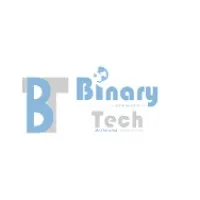 Binary Tech Consulting Corp Binary Tech Consulting Corp