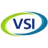 The VSI Team The VSI Team