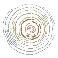 Chlorophyll Concepts