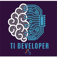 TI Developer