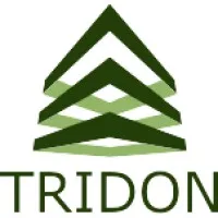 Tridon Group