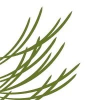 Santa Fe Community Foundation